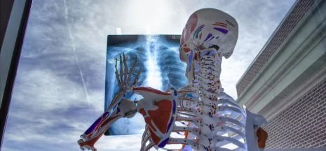 Wiek kostny Twojego dziecka