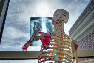 Wiek kostny – co to jest i dlaczego ma znaczenie?